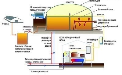 Схема за организиране на производството на биогаз у дома