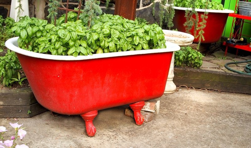 Красота и предимства: как да използвате стара баня в страната